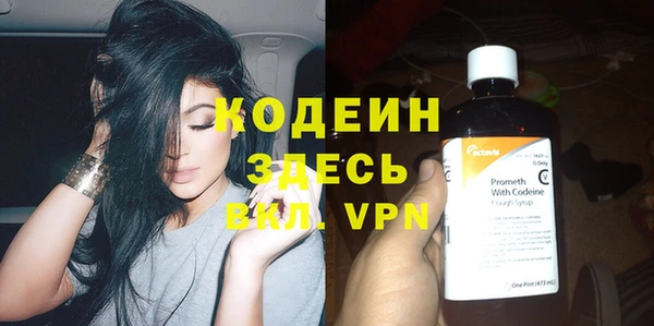 apvp Гусев