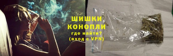 гашик Щучье