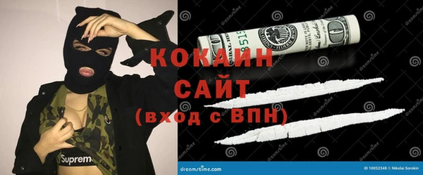 apvp Гусев