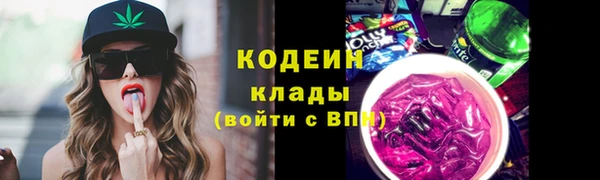 прущие грибы Гусь-Хрустальный