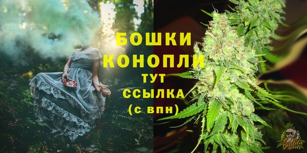 прущие грибы Гусь-Хрустальный