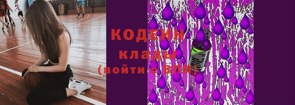 прущие грибы Гусь-Хрустальный