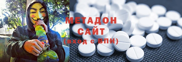 прущие грибы Гусь-Хрустальный